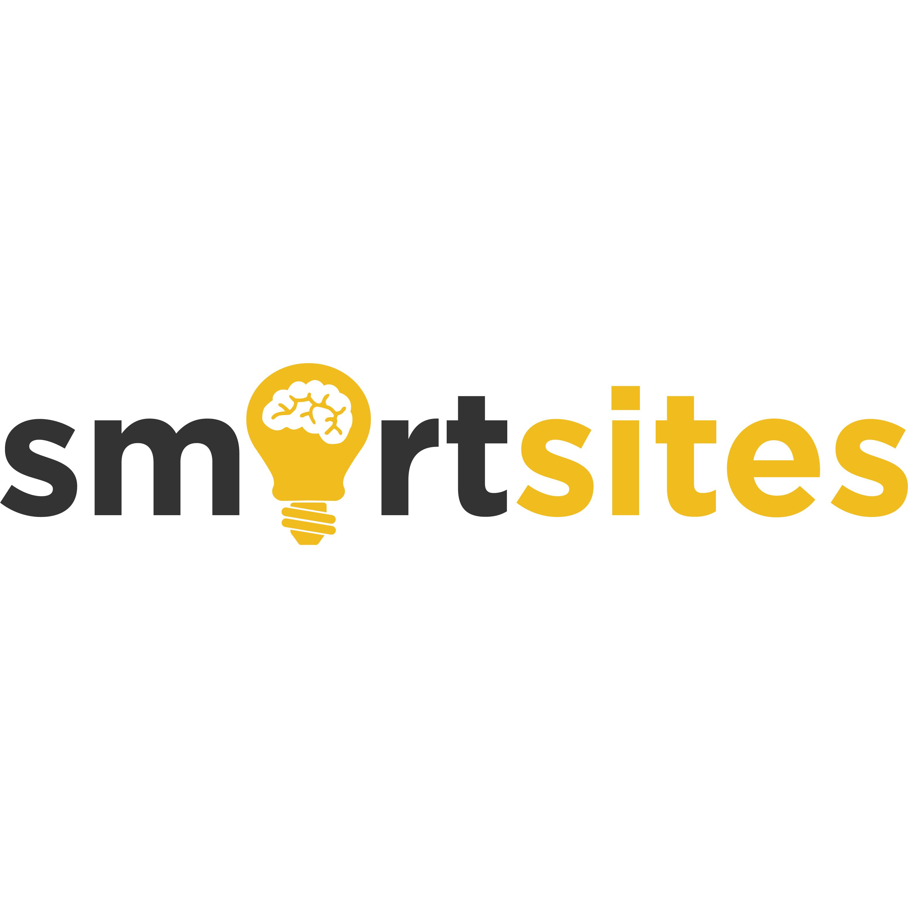 Top Medical SEO Agency Logo: SmartSites