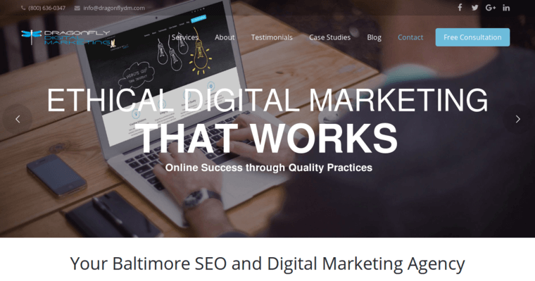 Home page of #2 Top Baltimore Search Engine Optimization Firm: Dragonfly Digital Marketing