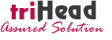 Houston Best Houston SEO Agency Logo: triHead